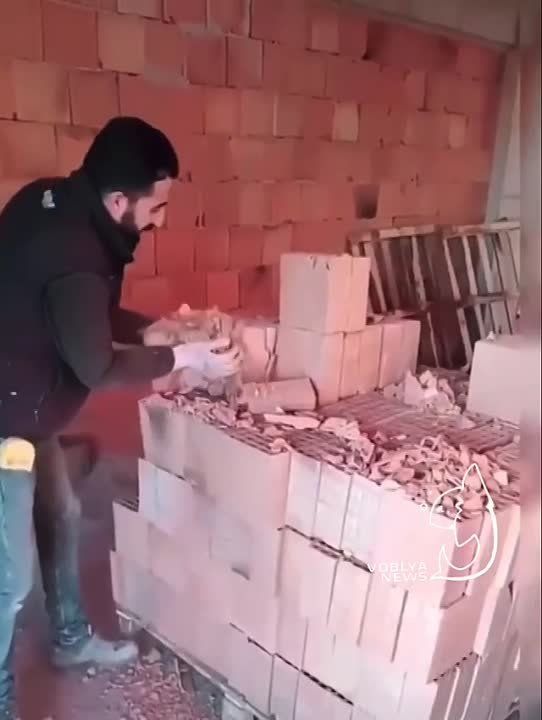 ������� � ���, ������ �������� ���� �� ����� ������������� ��������� ��� ��������� ������