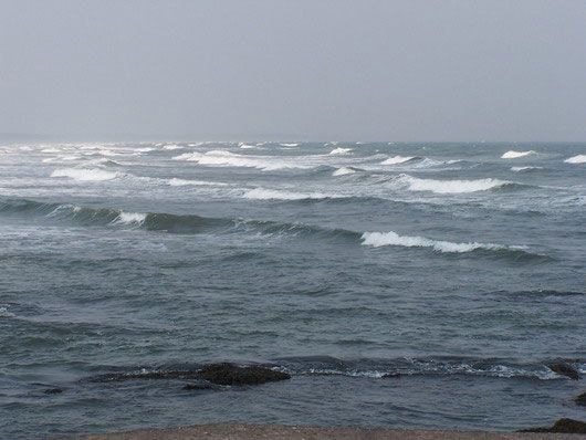 ��������: ������������� ��������� � �������� ����