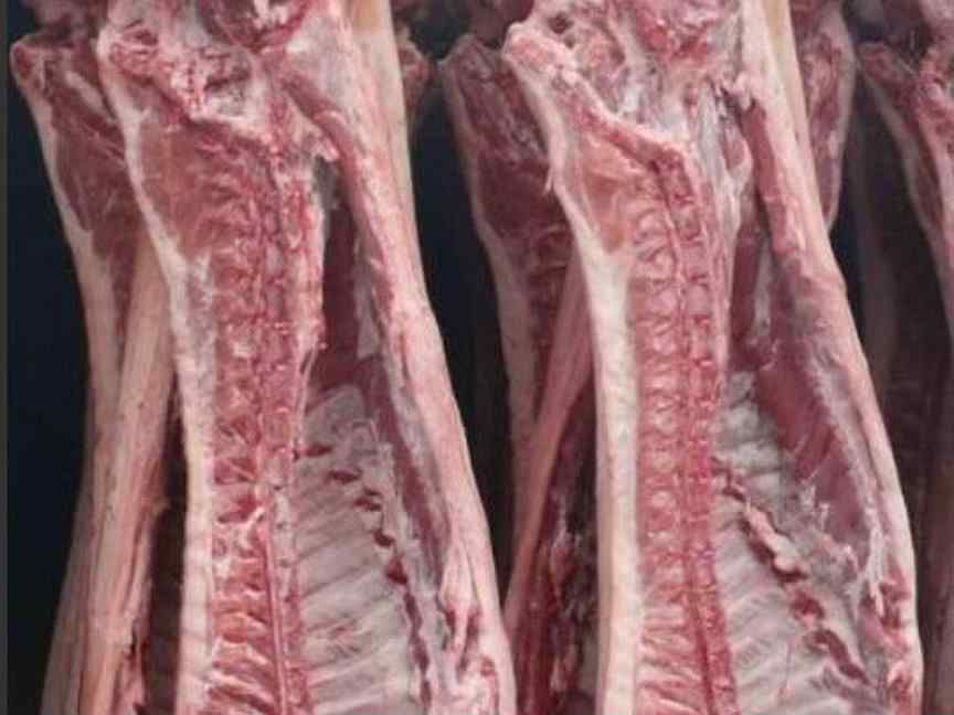 ��������� ����� �������� �� ������� ������