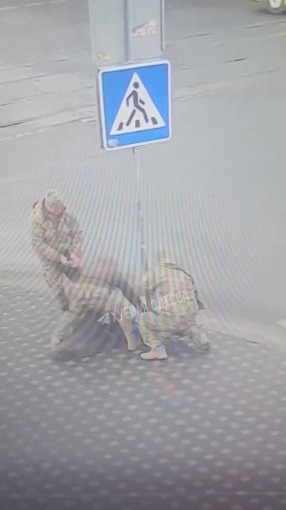 ��������� ����� ������������ ���������� ������� ����������� � ������ � ����� ����������