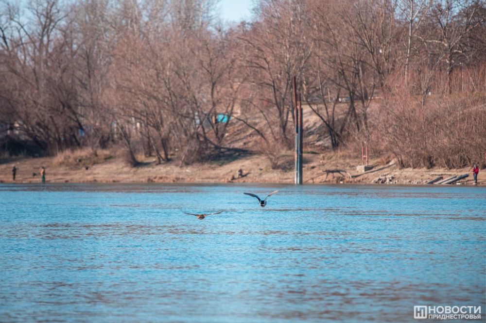 ��������� ���� ����� ������� ���� � ������� ��������