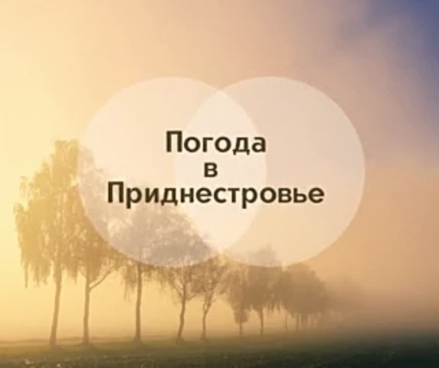 16 ������� ��������� ���������� ����������, ��� �������