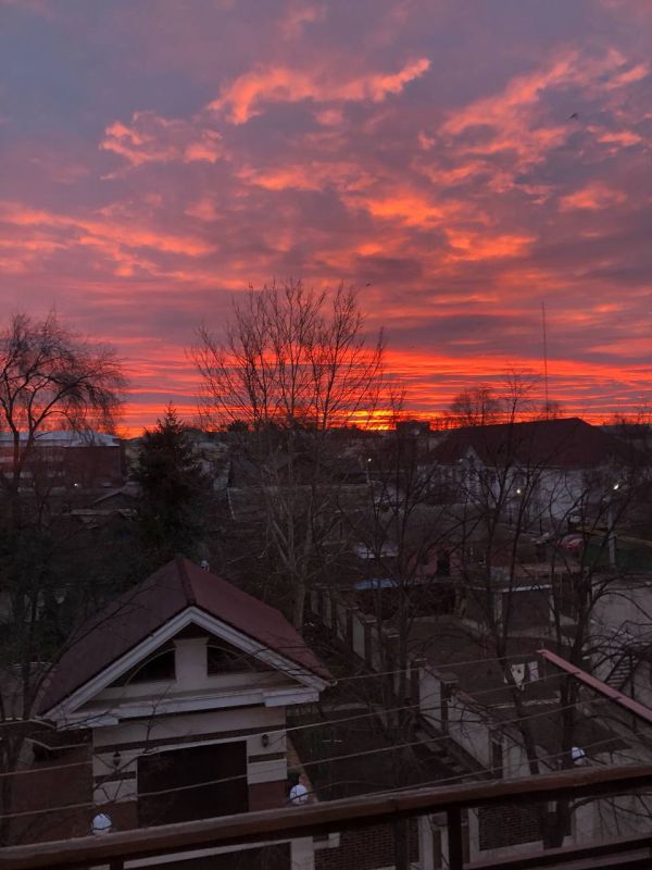 ������� ������?. ���� ������ ����������