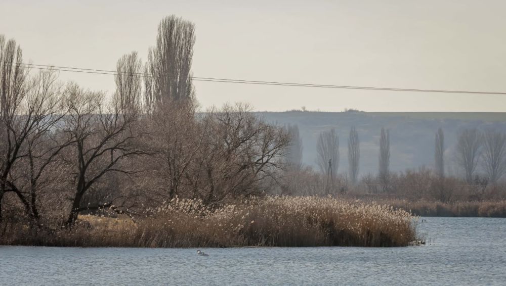 ���� � ������� ���������