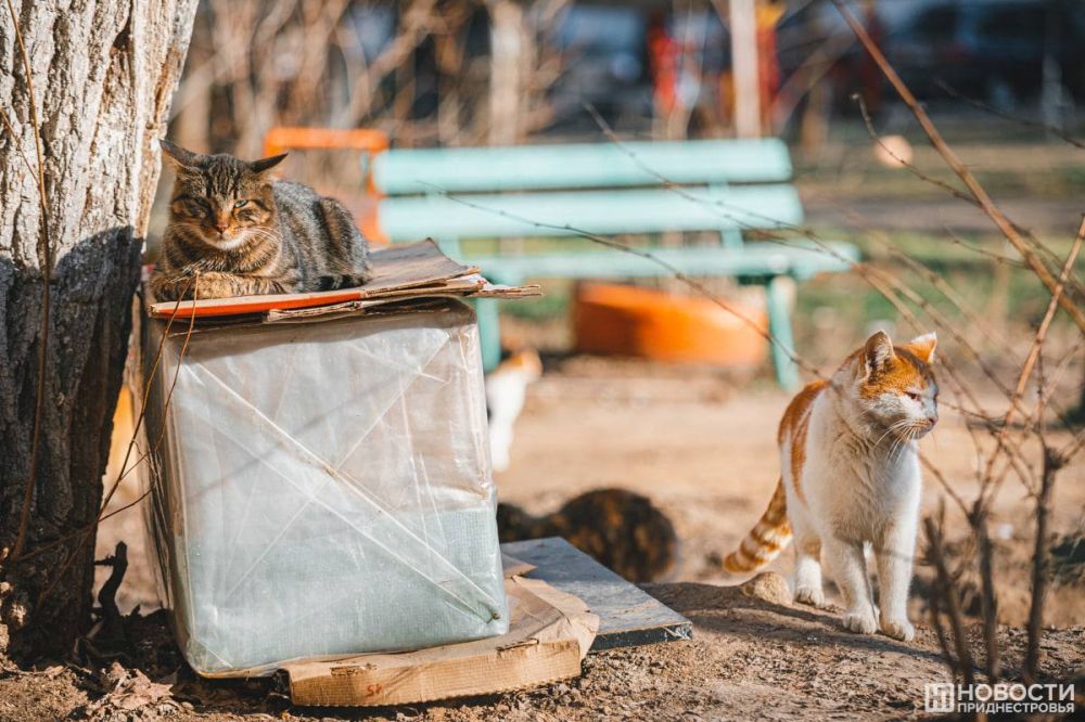 ������ �� ����� ���������. ���� ��������� ������� �� +10��. �� �������� ����� ������ ��� �� ��������� ��������