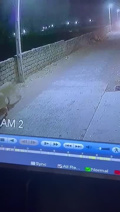 ���� ����� ���� �� ������ ����� ����� � ��������� ������� ��������