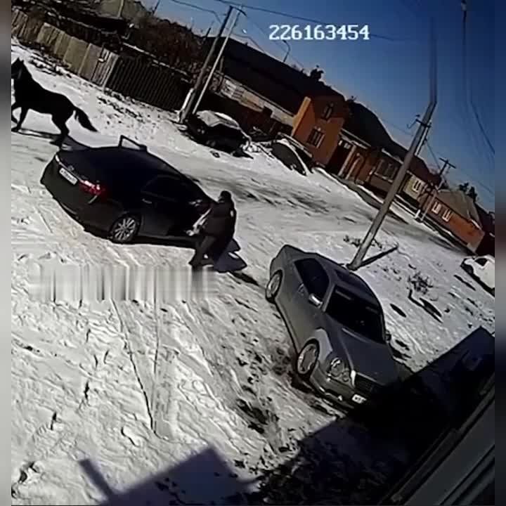 � �������� ������ ��������� ����� �������� ���: ���� �������� ��������� ������������ ��������