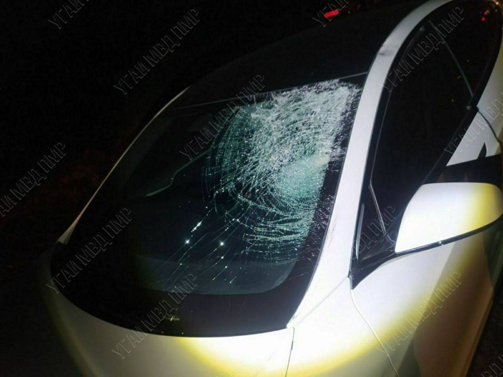 �������� ������� �������� ���� �������������