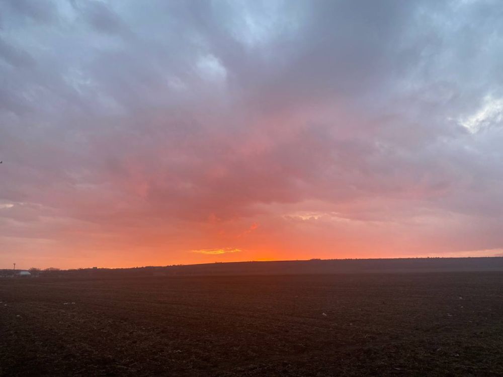 ����� ����� ������� ������ ����������