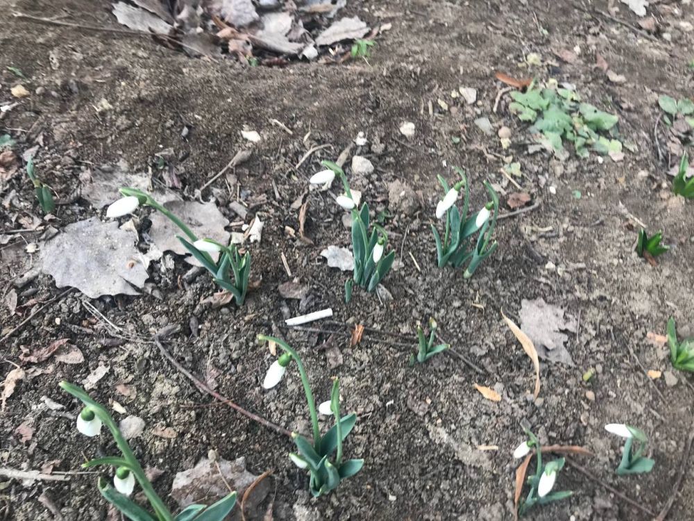 ����� �������� ��� ����������� - ���� �� ������� ���� ������