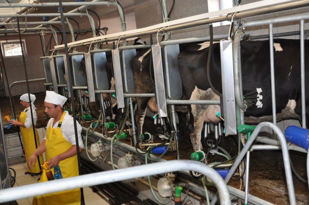 � ����� ��������� �������������� ����������� ������������� ���������