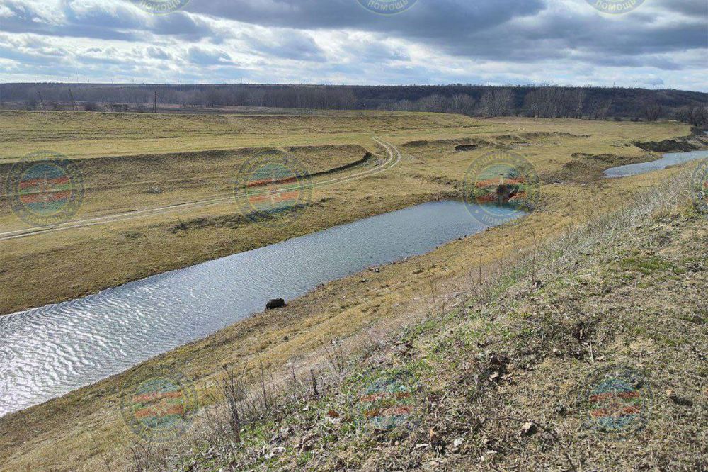 �������� �� ������ ������������ ���������� 5-������� ��������