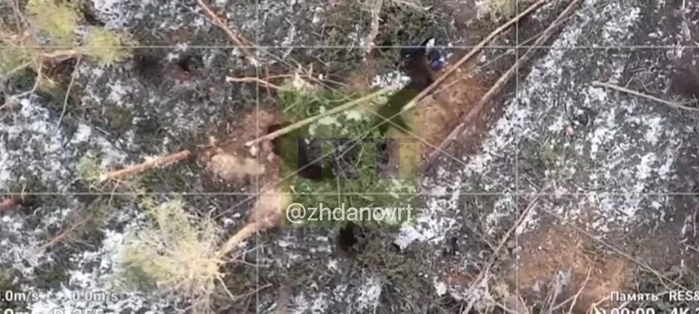 ��������� ����� ������ �������� ������ ��� ��� ��������� ������� ���, ��� � �������