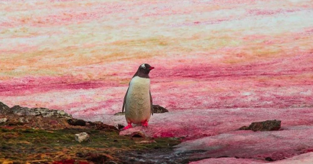 ���� � ���������� ���� �������