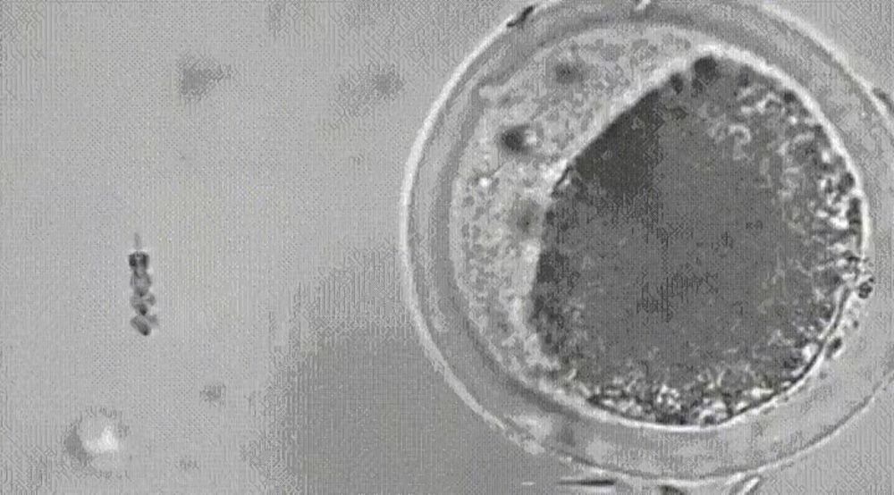 ��������� ����������� ������ �� ����� � ������������� �� ����������, ������������� �������� ���������� ������������� ��������