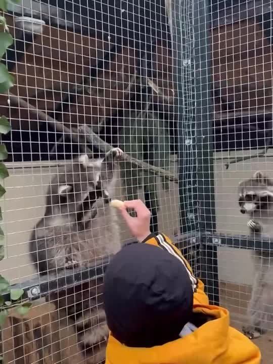 �������� � �������������� ����� �������� �� ����� ������