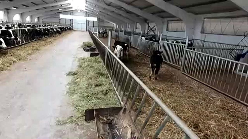 � ��������� �� ��������� �������� �����