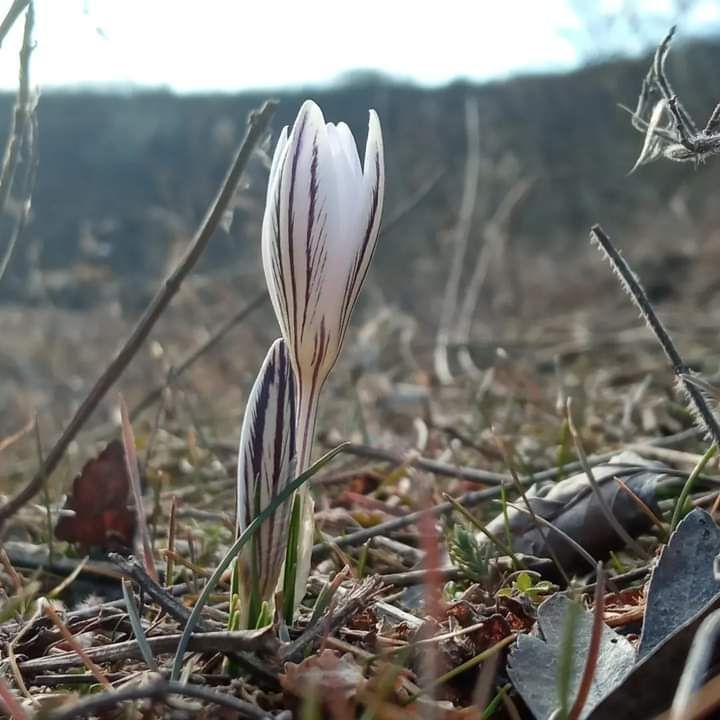 ����� � �����������!. ������ �����, ��� ��� �� - ��������� ������, � �� ��������� ������ ������, ������� ���� ����� ���� �� ��������