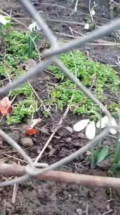 ��� ��� ����� ���� �����!