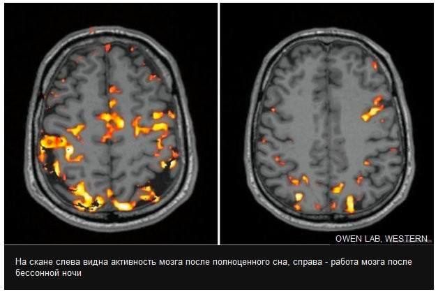 ������ ��������, ��� �� ���� ��������� ���� ��� ���� ������� �� 1-2 ����