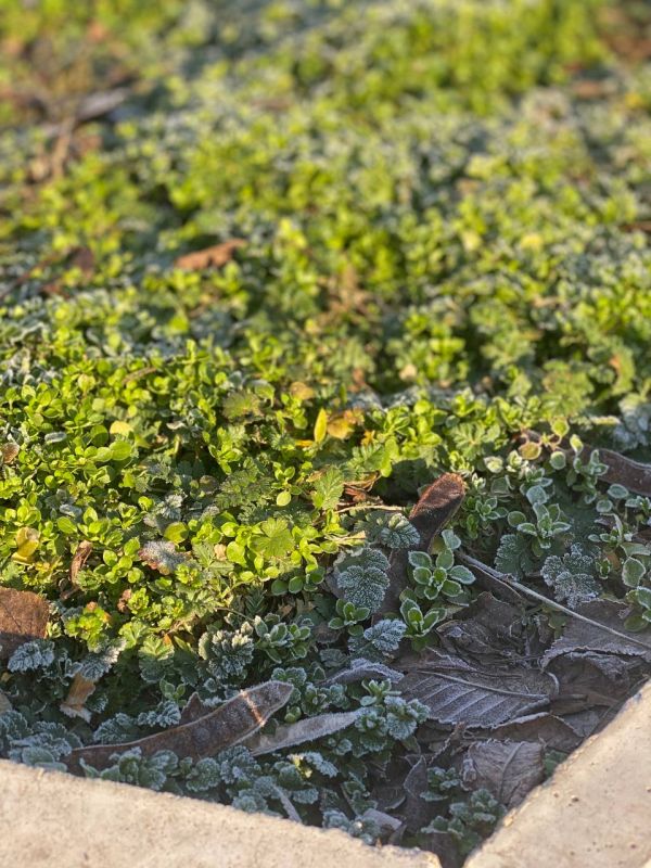 � ������ ���� �����! �� ����� � �������