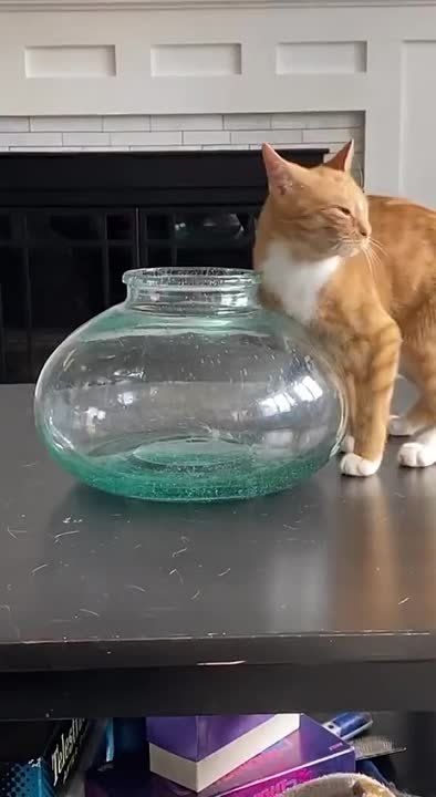 ������� �������� � ����� ��� �������� ����������