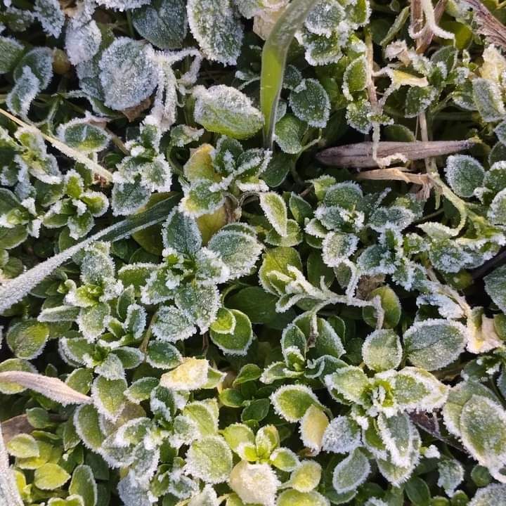 ���������. ���� � ������ �������� ����