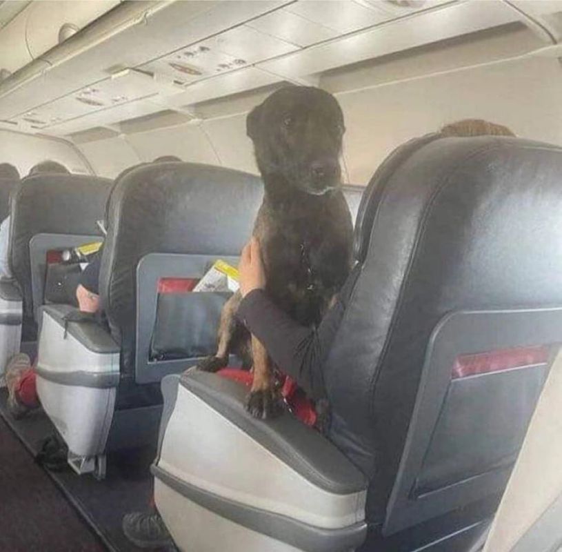 ������ �� ��������� �������-���������� ��������� � ���� ������ � �������� ���������, ��� ������� ������� ��������� ��������