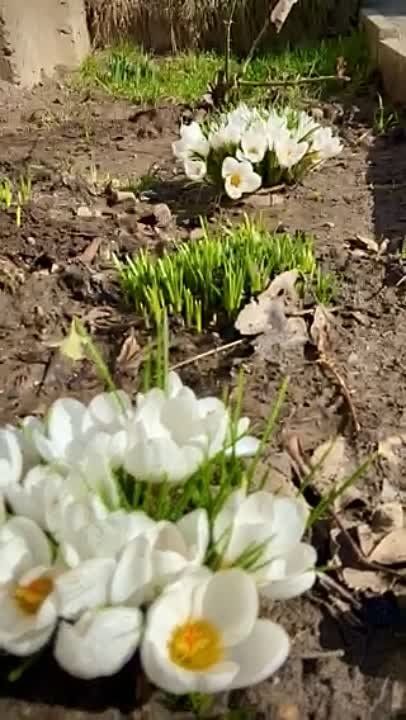 ��������� ����� 8 ����� � �������� �������������