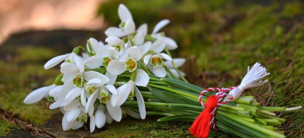 � ������ ���� �����, ������� ������!