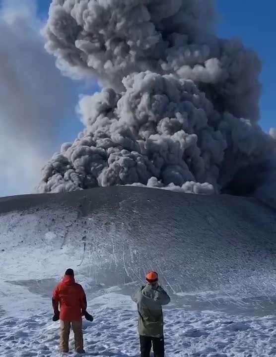 ������ ����� �� ������� ����������� �����