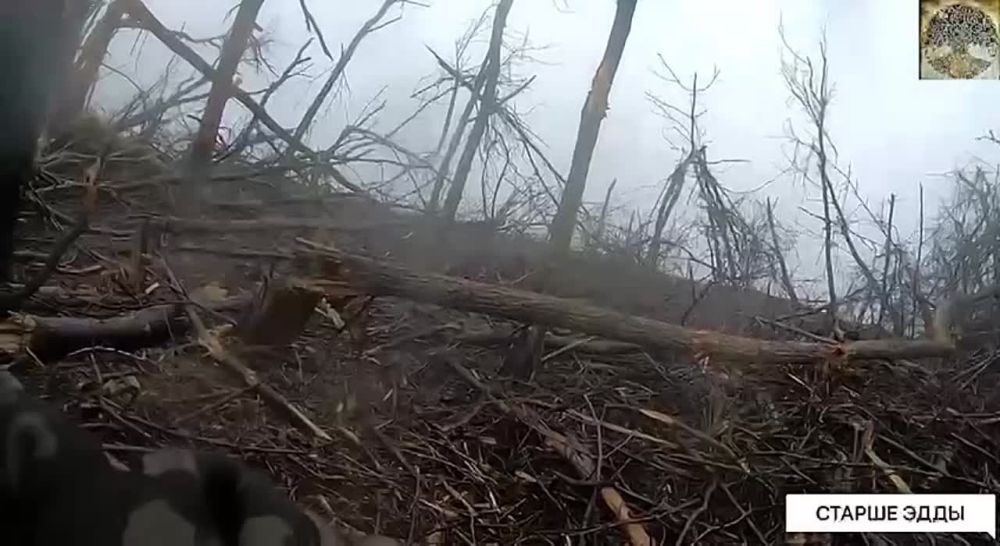 ����� �� ������� ����.. ������ ��������� ���������� ������ �׸���� �����, ������� �������� �����. ����� �������-���������