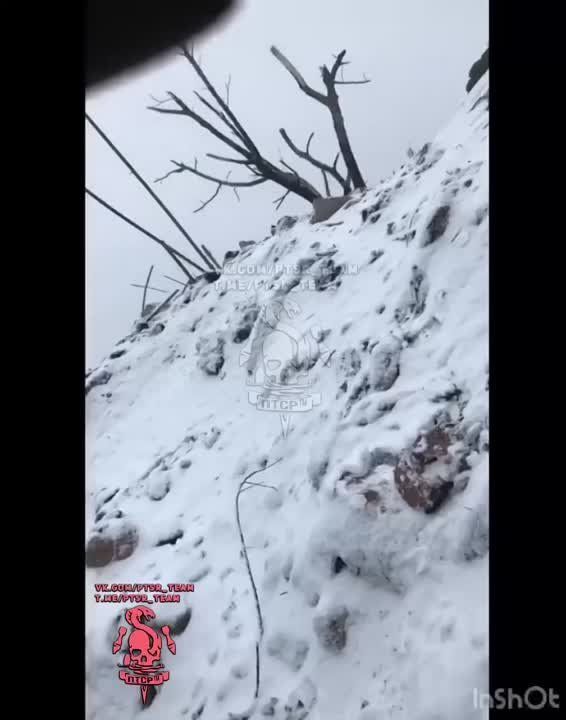 ��������� �������� �������� � ���� �� ��������