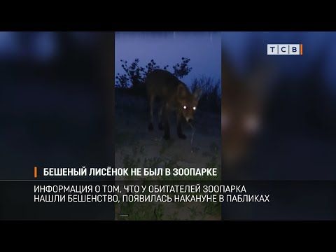 � ���������� ���������� �������� ��� ������� ��������, ��� ����� ������� � �� ������ ��� �����, ���������� � ��������������� ������������ �������. ���������� � ���, ��� � �������� ����� ������� ����, ��������� �������� � ��������