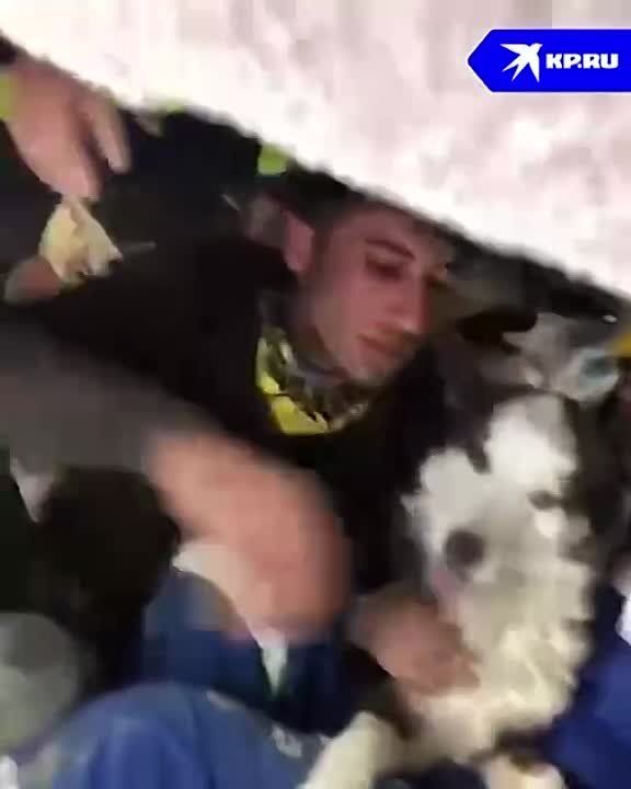 ����������� ������� ��������