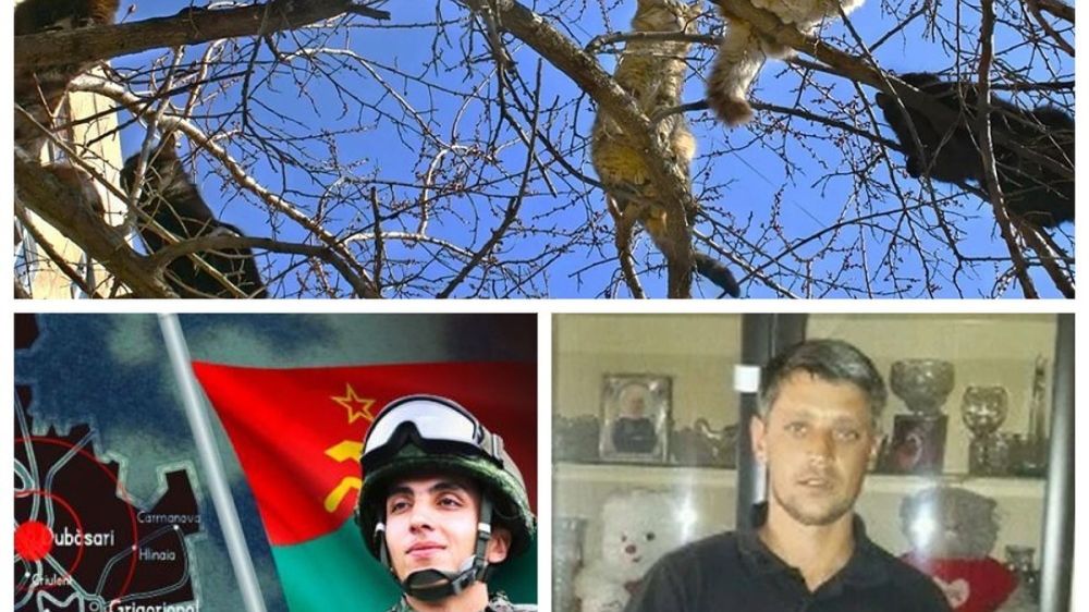 ������� ������� �� 2 ����� 2023: � ������� ���� ����� �� +14 - ������ ������� �� �����; "���������� ������� � ������������� ������ ����� ������ ������ ��������" - ������ �������; ������������ ������������ ������ � ����������� ������ �������