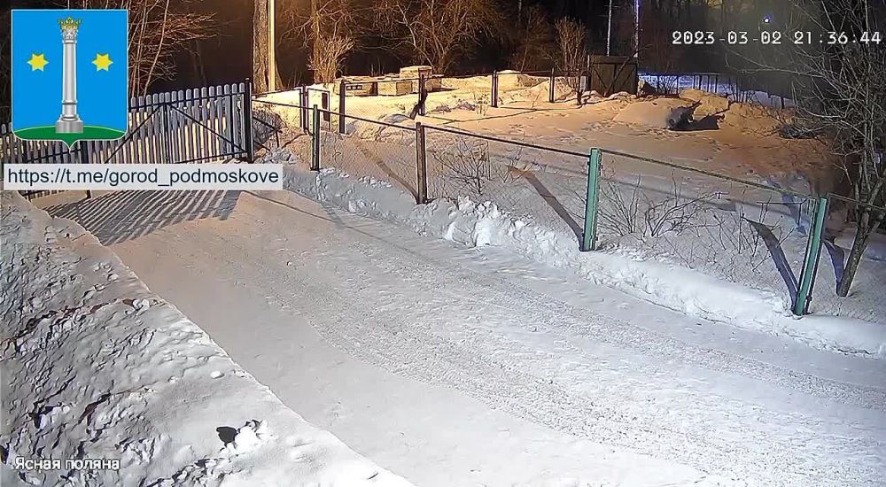 � ��������� ������� ���������� ������� �����