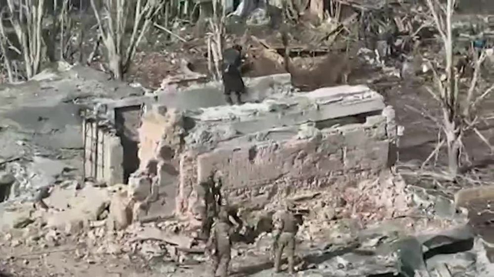 ��������� �����������, ������ ������� ��� ������� � �������, � ����������� �.�. ���������: