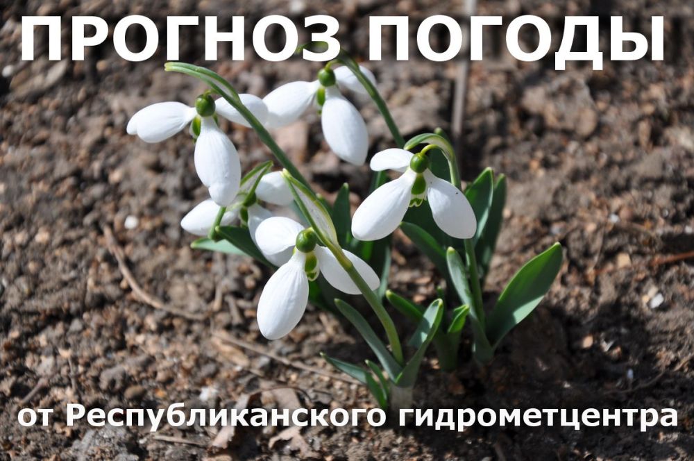 3 ����� ��������� ���������� ����������, ��� �������