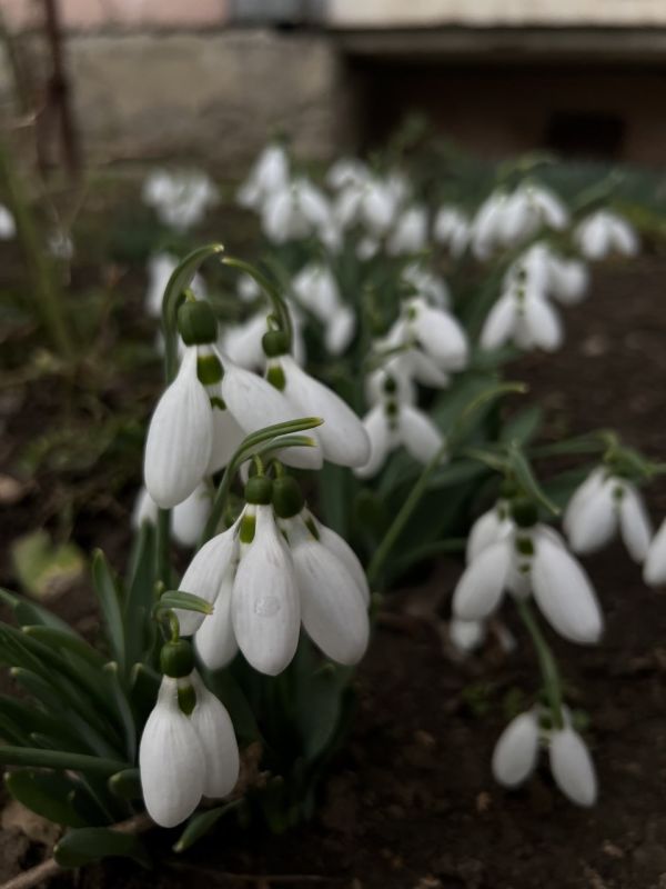 ������� � ������: � ������� +13, � ����������� ������ ����, 8 ����� +10