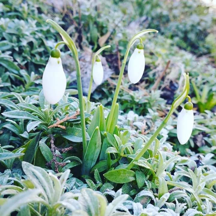 ����������� � ���������