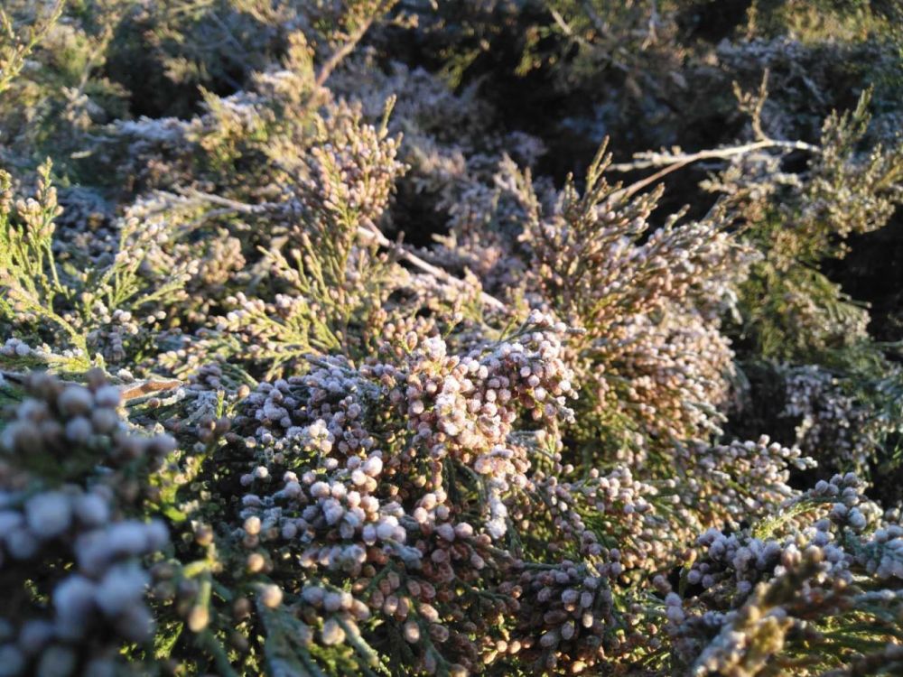 �������� ���������. ��� ������ ����� ������ ����������� ���������