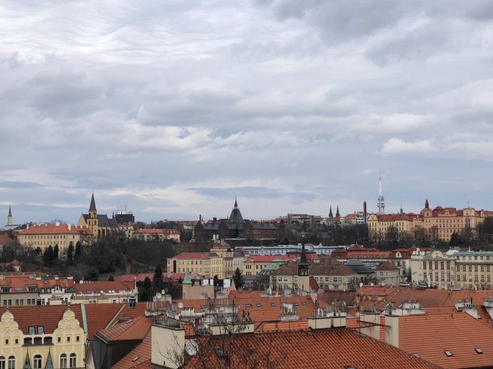 � ������� �������� ������� �� ���� ��� �����