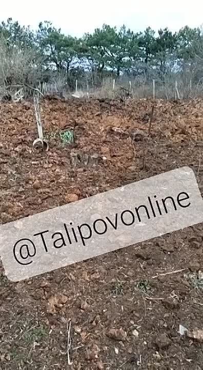 ������� � ������ 16 ����� � �����, ��������������� �����, �.�����������, ��������� ���, ��� ���� �����������, ������� ���� �� ���������� �������� ������������ � ������������