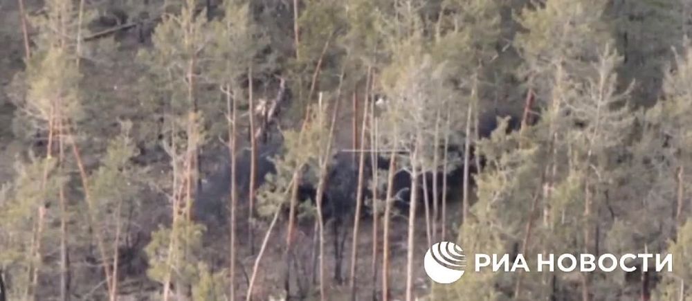 ������ ��������� ��������� ����� � ������ ���������� ������ � ����� ��� ���������