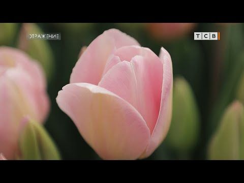 �� �� ������ ����������� ���������. ������ ��������� ����� �������� � ������������ � ��������. � ���� ����������, ���� �� 8...