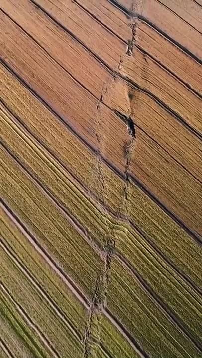 �������������, ������. ������� � ����������� ����������� ������������� � ������ �������