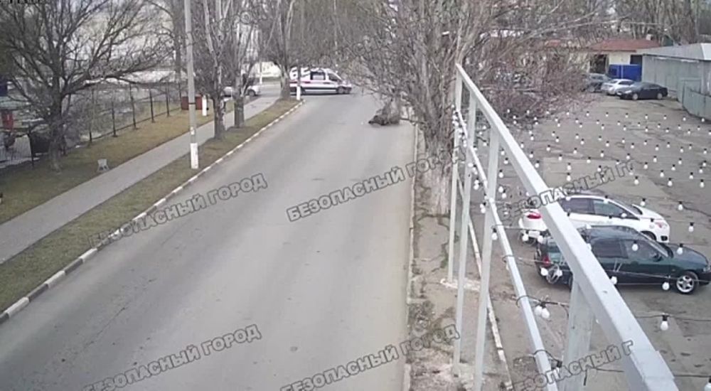 ����������� �������� ���� �������� �� ���������� � ���������