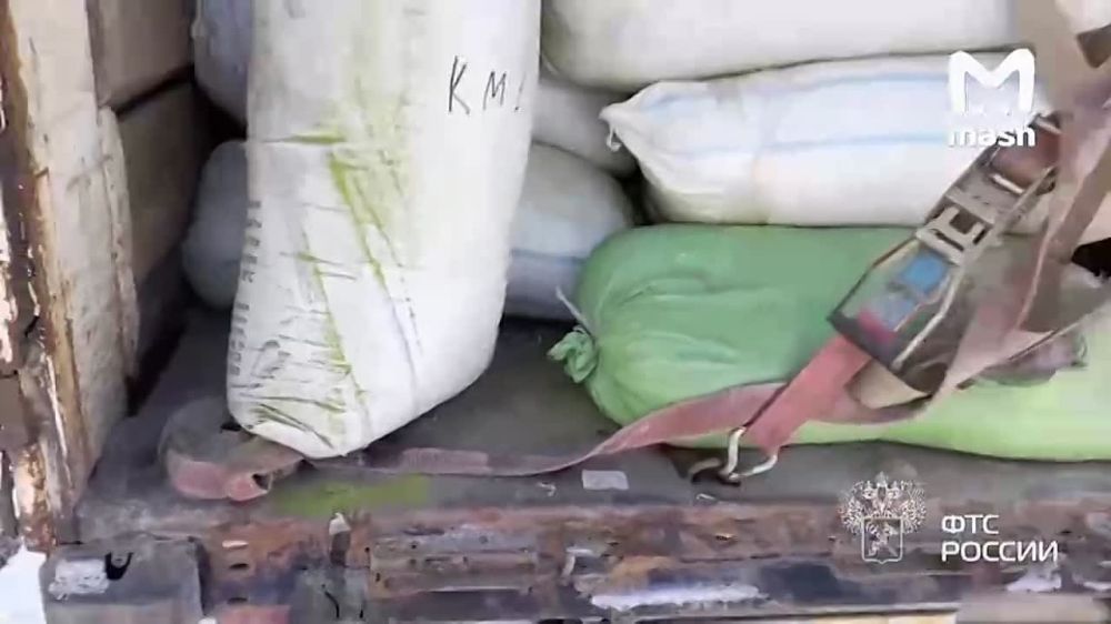 ���� � 17 ������� ������ ���������� ����������� ����������� � ������ ������ �� ������� � �����������