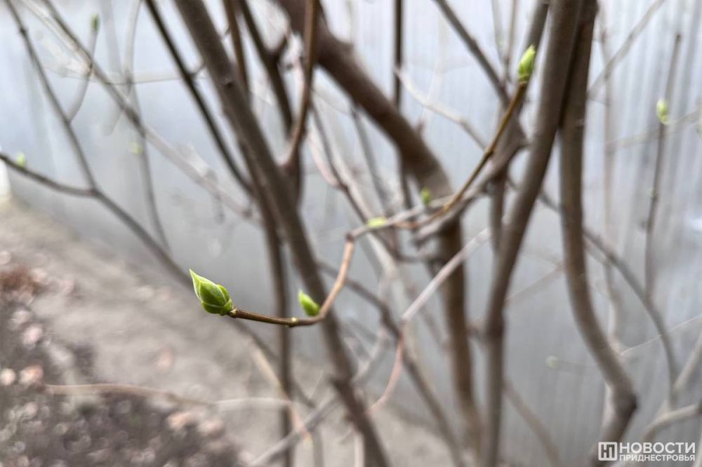 �� �������� ��� �������� ���������� �����